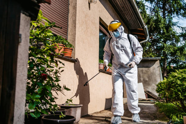 Best Pest Control Near Me  in Ogdensburg, NJ